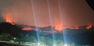 incendio forestal Parque Nacional Henri Pittier