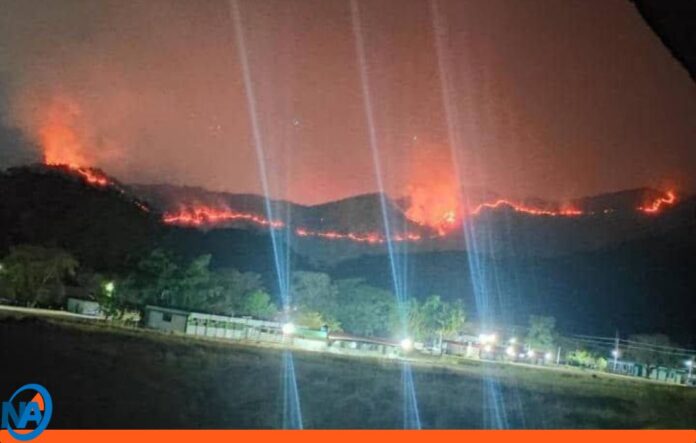 incendio forestal Parque Nacional Henri Pittier