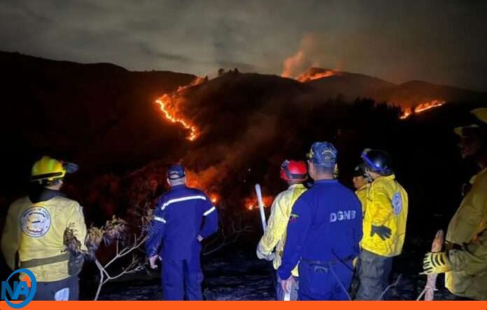 incendio vegetación Caricuao