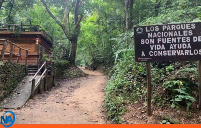 medidas incendios forestales Waraira Repano medidas incendios forestales Waraira Repano