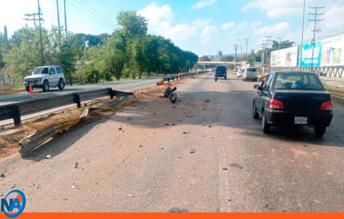 mujer arrollada motorizado Aragua mujer arrollada motorizado Aragua