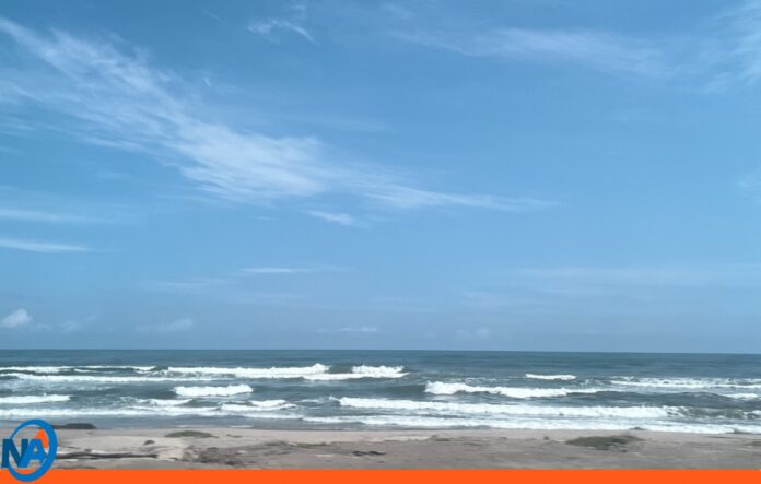 simulacro caribe wave 2026