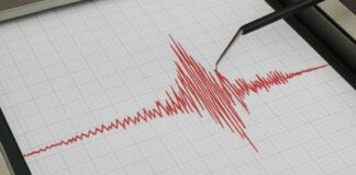 sismo Carabobo 24 de marzo