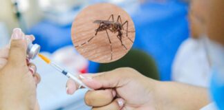 Puedes vacunarte contra la fiebre amarilla