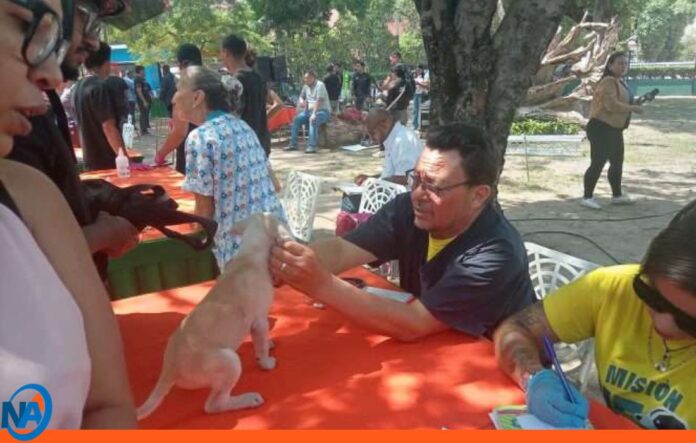 Aragua plataforma digital protección animal Aragua plataforma digital protección animal