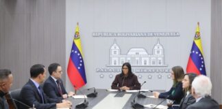 Delcy Rodríguez Comisión para optimizar Activos Públicos