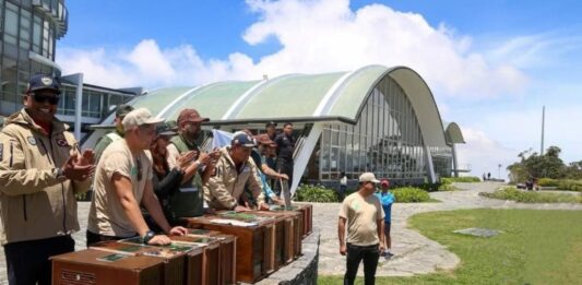 MINEC libera aves fauna silvestre