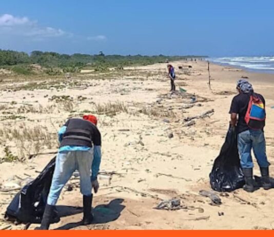 Miranda activa operativo "Dale la Cola a la Basura"