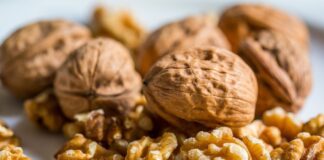 Nueces el mejor aliado para descansar