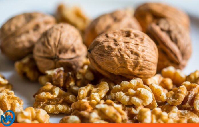 Nueces el mejor aliado para descansar Nueces el mejor aliado para descansar