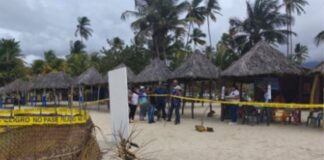 Patanemo Tortugas Cardón