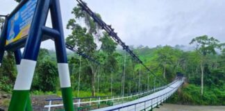 Puente colgante Barro Negro Portuguesa