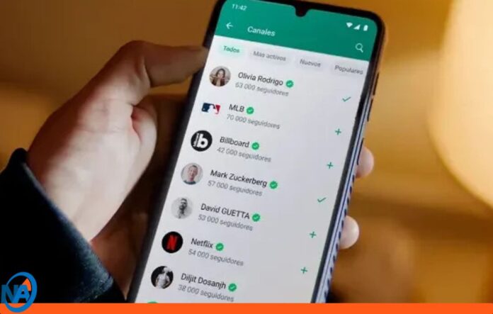 WhatsApp celulares WhatsApp celulares