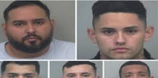 venezolanos red robo vehículos