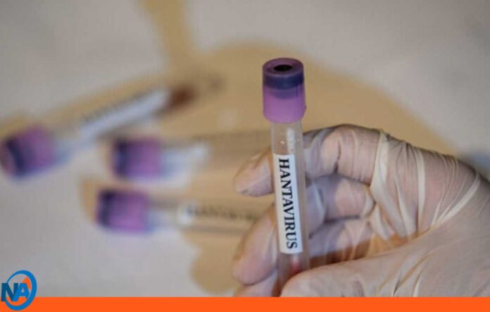 Brasil hombre fallece por hantavirus Brasil hombre fallece por hantavirus