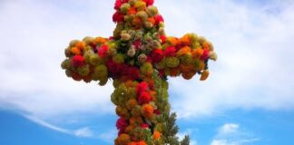 Cruz de mayo