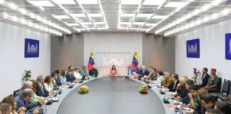 Delcy Rodríguez reformas estructurales