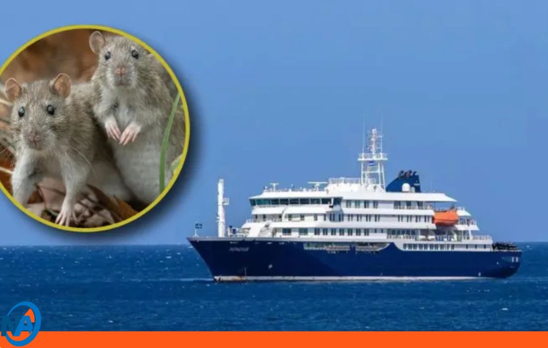 Hantavirus brote en crucero 1-1
