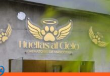 Aragua inaugura «Huellas al Cielo»: El primer cementerio verde y crematorio público para mascotas Huellas al Cielo cementerio Maracay