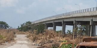 Localizan cadáver carbonizado en Aragua