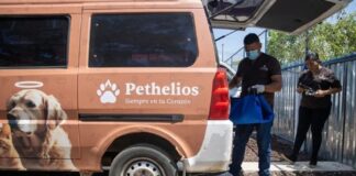 Pethelios en Nicaragua crematorio mascotas