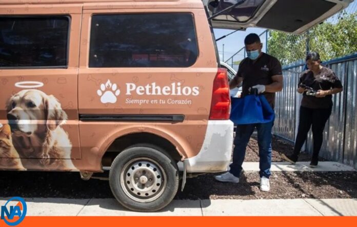 Pethelios en Nicaragua crematorio mascotas