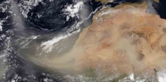 Polvo del Sahara Venezuela