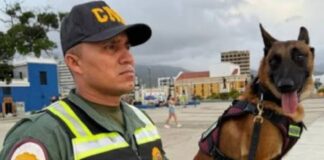 Venezuela guías canes