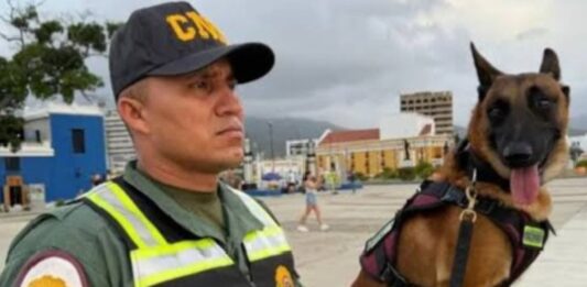 Venezuela guías canes