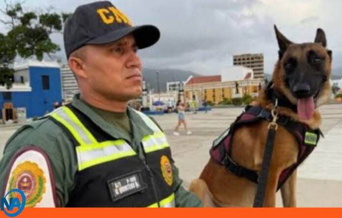 Venezuela guías canes Venezuela guías canes