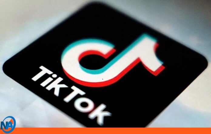 demanda TikTok Francia