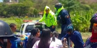 falleció hombre ataque abejas