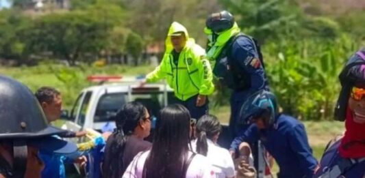 falleció hombre ataque abejas
