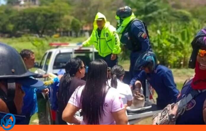 falleció hombre ataque abejas falleció hombre ataque abejas