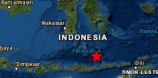 sismo Indonesia mar de Flores