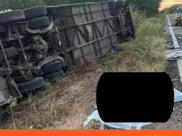 Brasil: Mueren siete jóvenes accidente