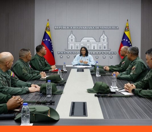 Delcy Rodríguez Plan 100 días FANB