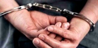 Detenido hombre Valencia vender alimentos aserrín