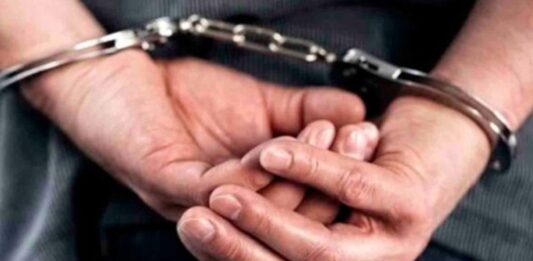 Detenido hombre Valencia vender alimentos aserrín