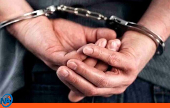 Detenido hombre Valencia vender alimentos aserrín Detenido hombre Valencia vender alimentos aserrín