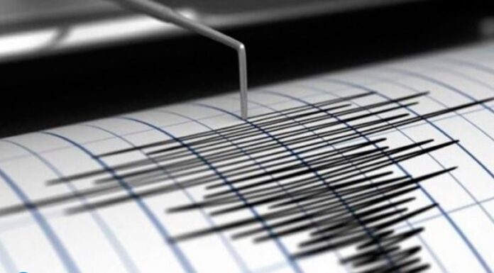 Doble temblor en Valencia: Funvisis reporta sismos de 3.6 y 2.5 grados este jueves Doble temblor en Valencia este jueves