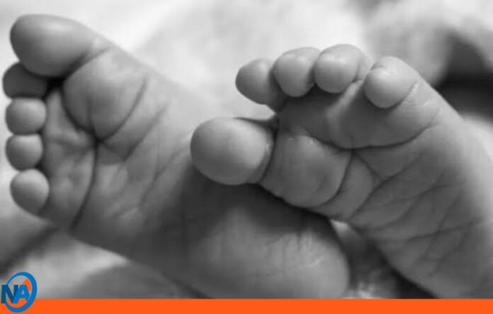 Fallece niño en Portuguesa Fallece niño en Portuguesa