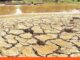 Colombia declara oficialmente el inicio del Fenómeno de El Niño Fenómeno de El Niño Colombia