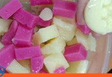 Gomitas de yogur y gelatina