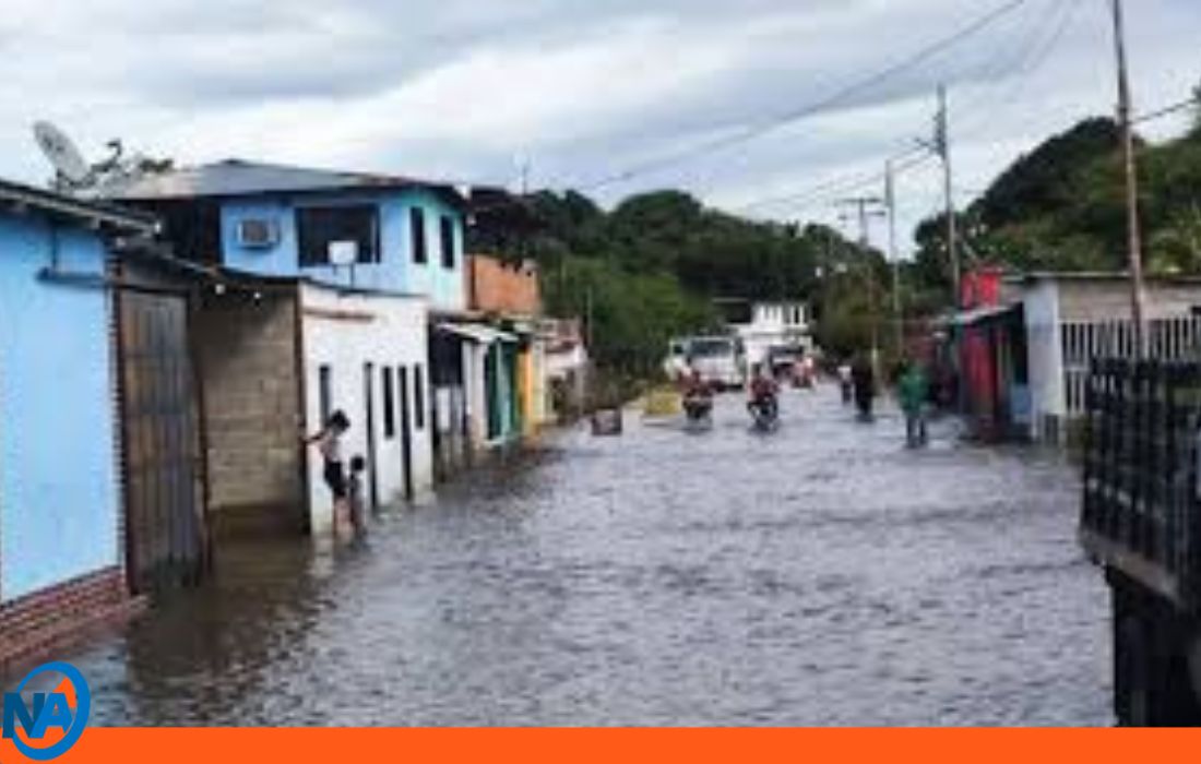Lluvias en Amazonas crecida río Orinoco 1-1