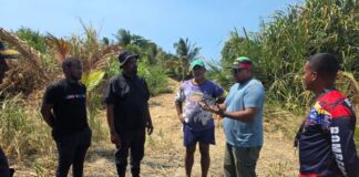 Minec prohíbe quema La Guaira