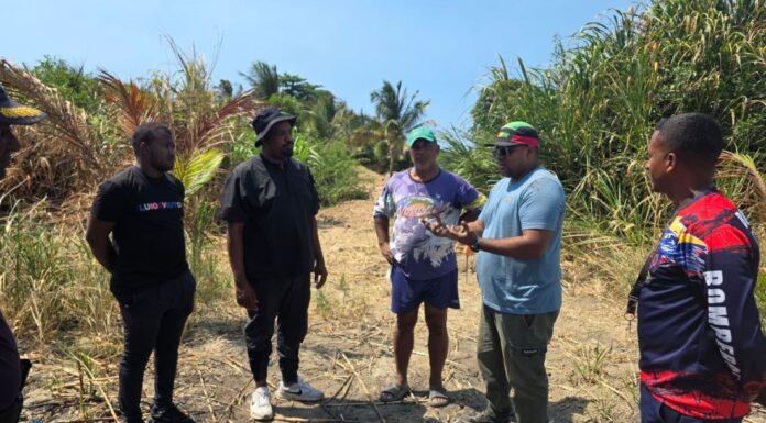 Minec prohíbe todo tipo de quema en La Guaira tras incendios Minec prohíbe quema La Guaira