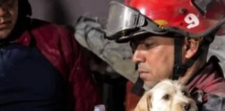 Misión Nevado operativo sismos