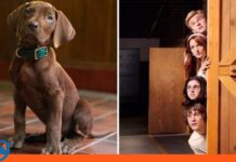 Netflix Scooby-Doo live-action