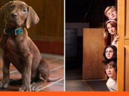 Netflix Scooby-Doo live-action